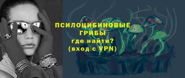сатива Козельск