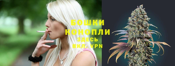 сатива Козельск