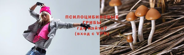 эйфоретик Кодинск