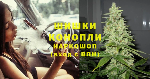 сатива Козельск