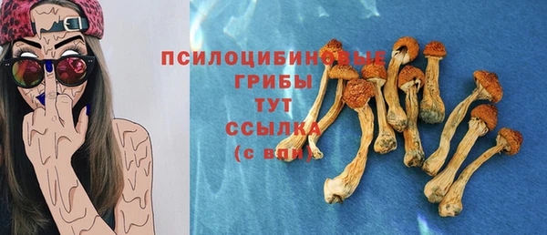 дмт Козловка