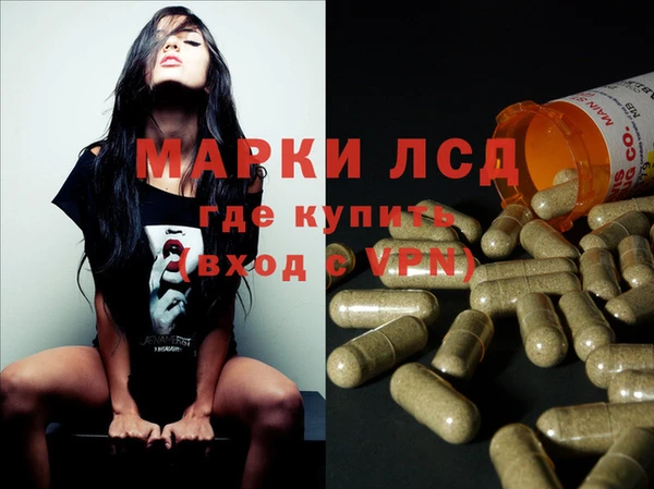 сатива Козельск