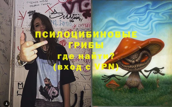 дмт Козловка