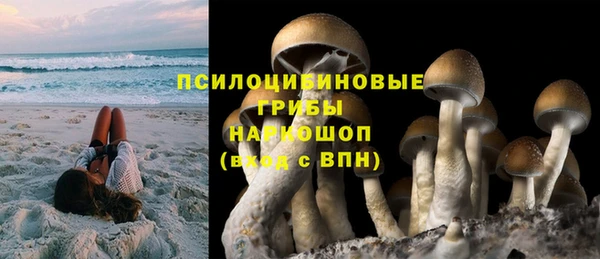 сатива Козельск