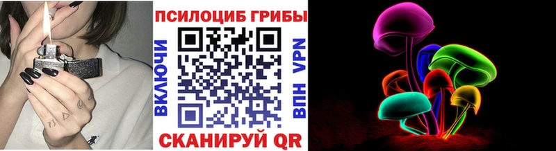 Купить закладки  Кузнецк  Псилоцибиновые грибы мухоморы 